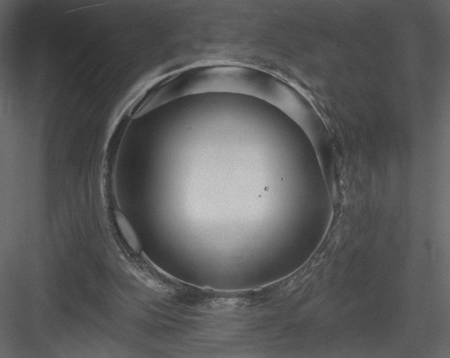 X0000084020152200702232241