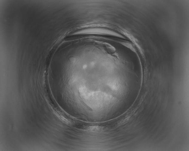 X0000084020153200702232241