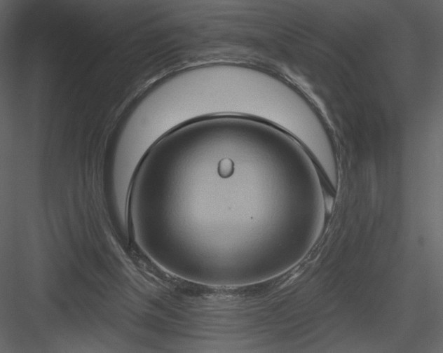 X0000084020154200702232241