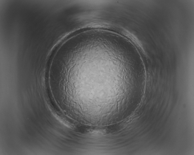 X0000084020155200702232241