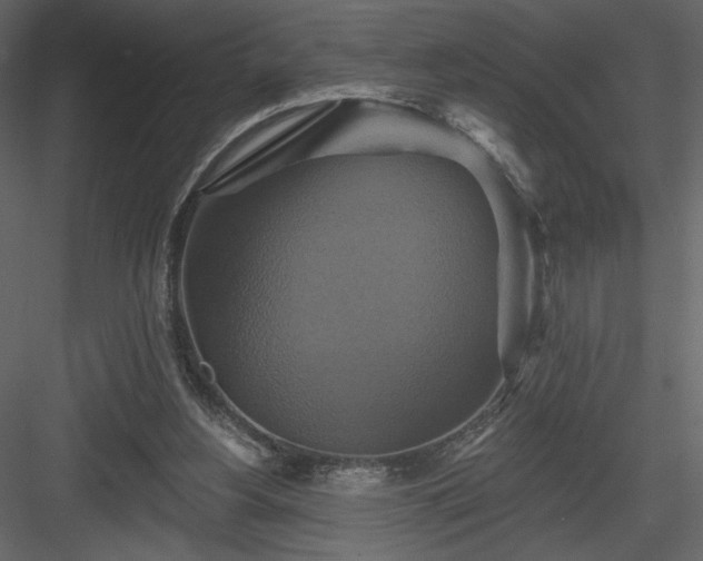 X0000084020156200702232241