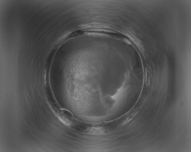 X0000084020157200702232241