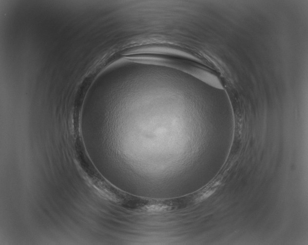 X0000084020158200702232241