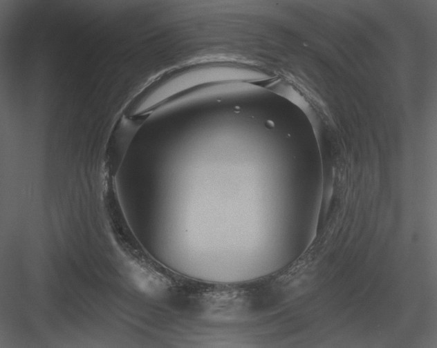 X0000084020160200702232241