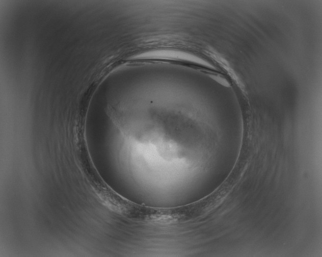 X0000084020161200702232241