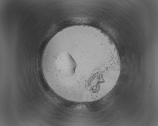 X0000084020162200702232241