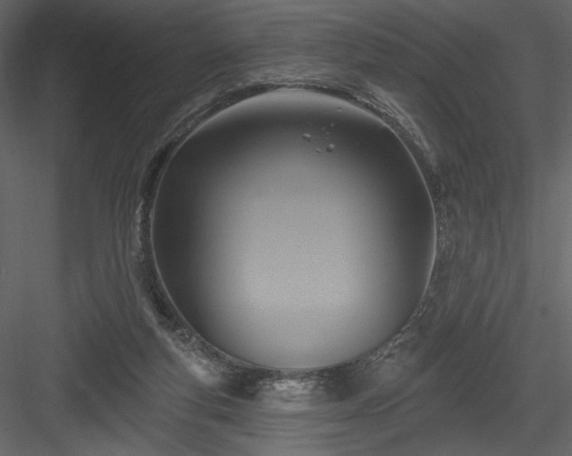 X0000084020163200702232241