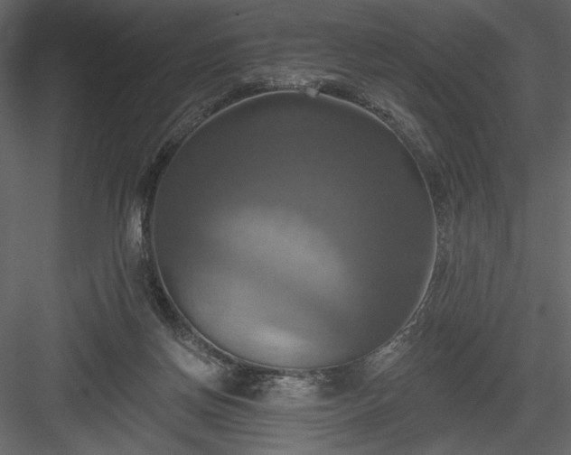 X0000084020166200702232241