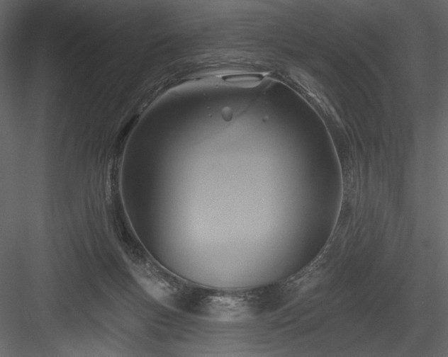 X0000084020167200702232241