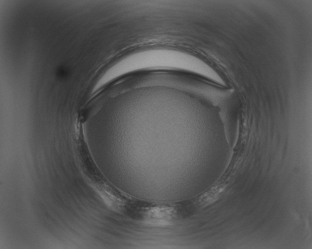 X0000084020168200702232241