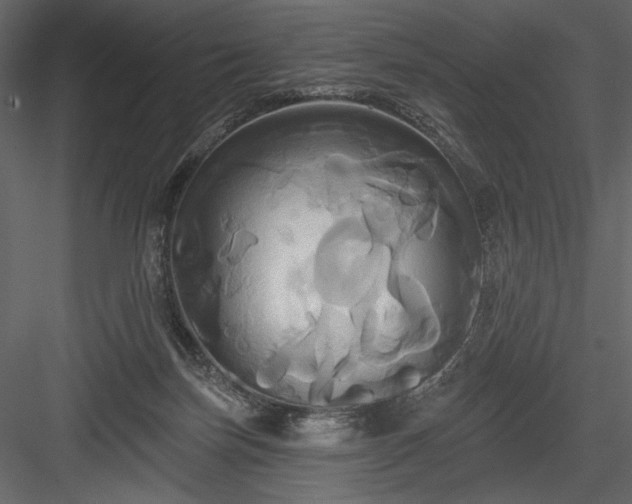 X0000084020171200702232241