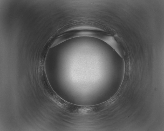 X0000084020172200702232241