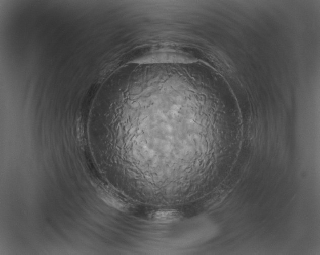 X0000084020173200702232241