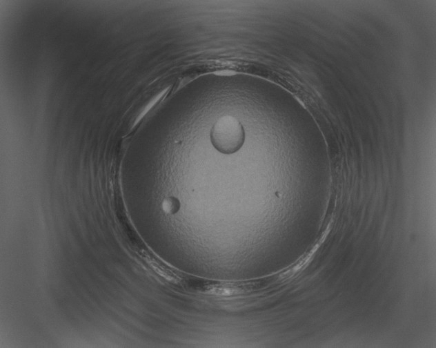 X0000084020174200702232241