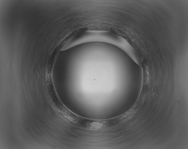 X0000084020176200702232241