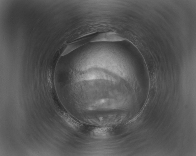 X0000084020178200702232241