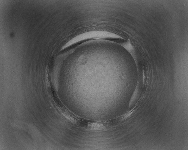 X0000084020180200702232241