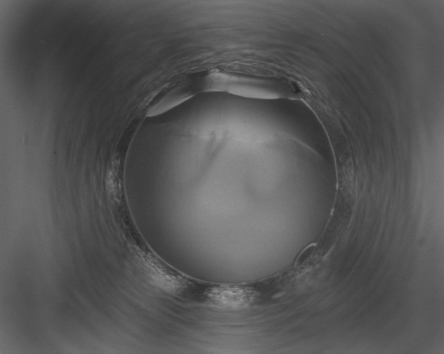 X0000084020181200702232241