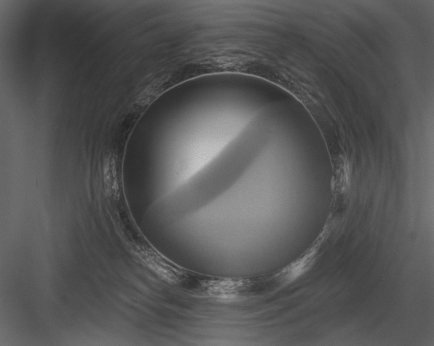 X0000084020182200702232241