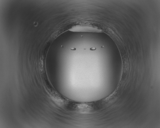 X0000084020183200702232241