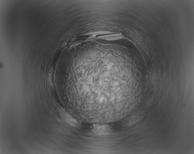 X0000084020185200702232241