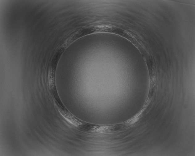 X0000084020186200702232241