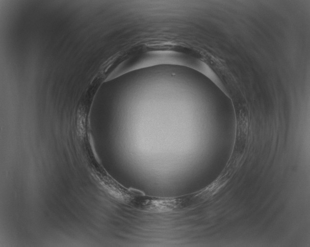 X0000084020188200702232241