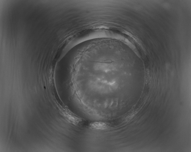 X0000084020189200702232241