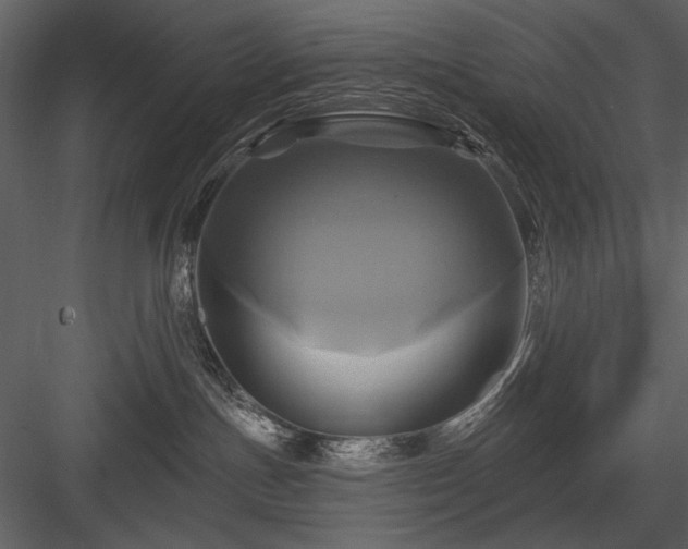 X0000084020191200702232242