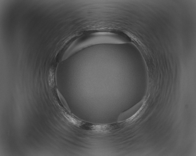 X0000084020192200702232242