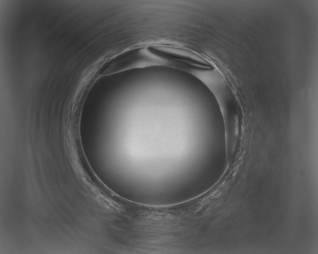 X0000084020193200702232241