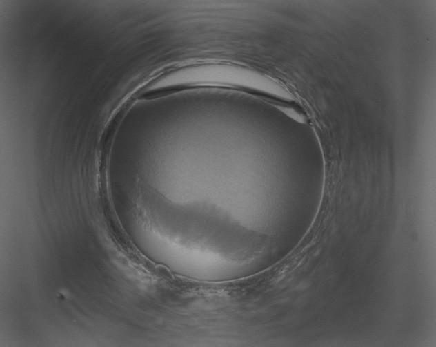 X0000084020194200702232241