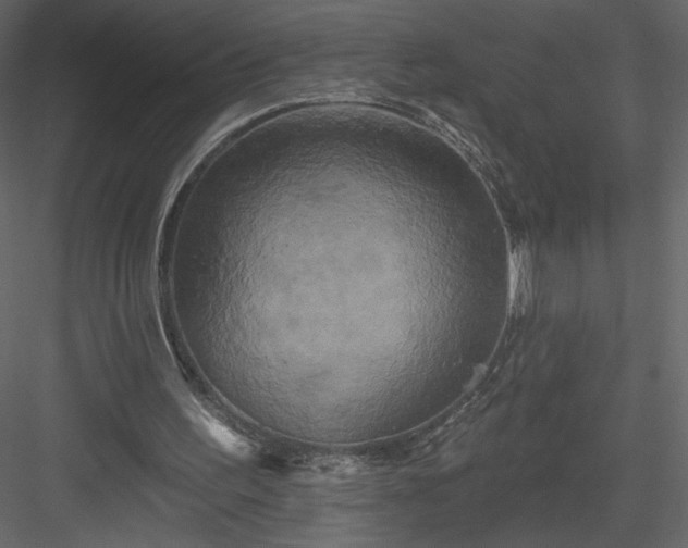 X0000084020195200702232241