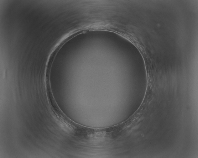 X0000084020196200702232241