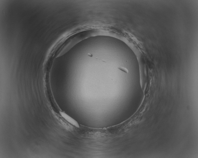 X0000084020197200702232241