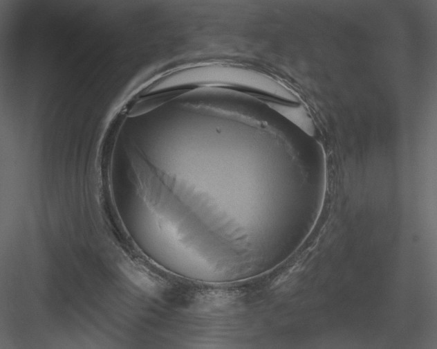 X0000084020198200702232241