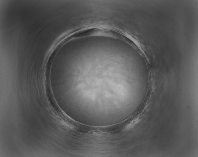 X0000084020199200702232241