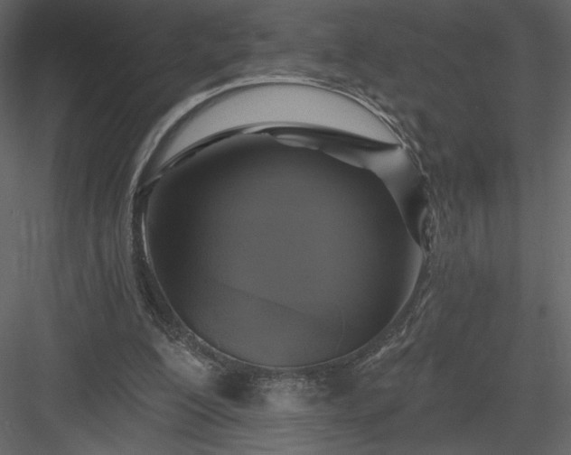 X0000084020200200702232241