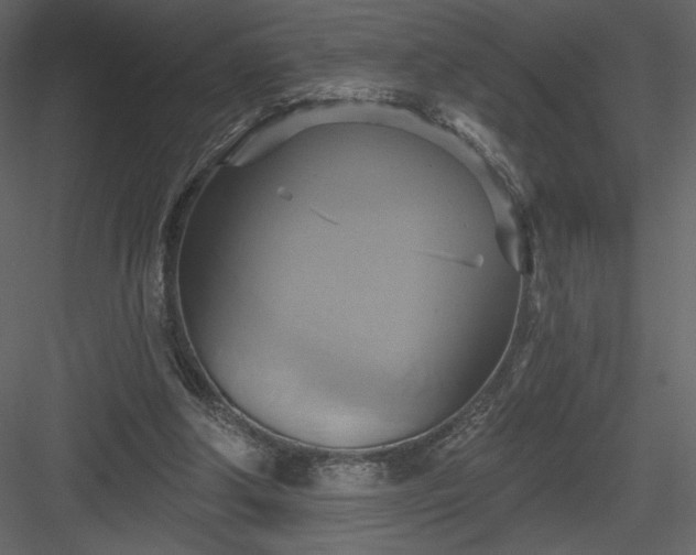 X0000084020202200702232241