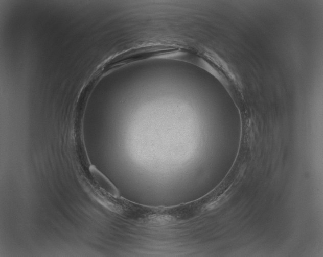 X0000084020203200702232240