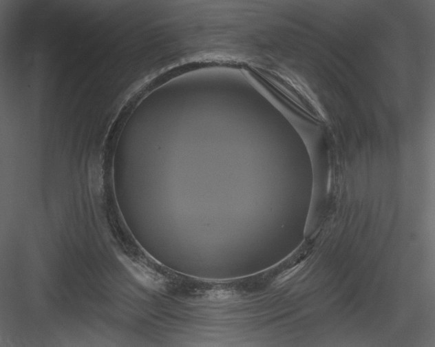 X0000084020204200702232240