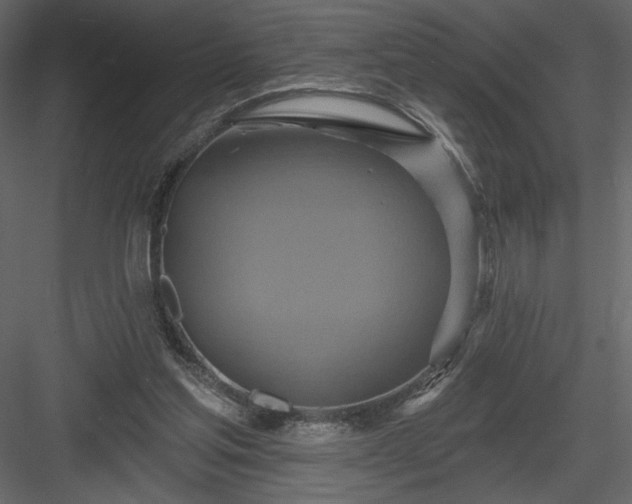 X0000084020205200702232240