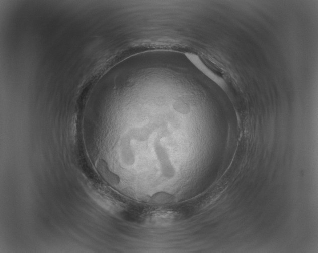 X0000084020206200702232240