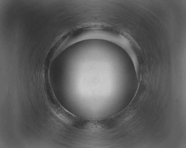 X0000084020207200702232240