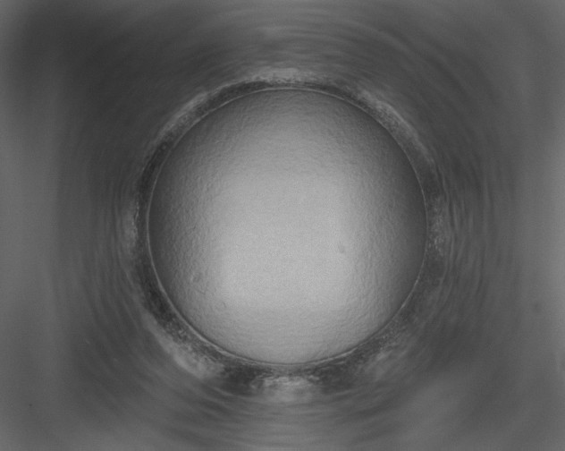 X0000084020208200702232240