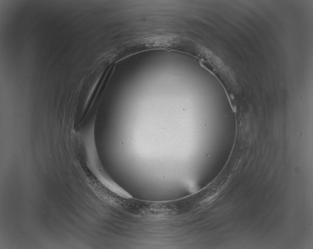 X0000084020209200702232240