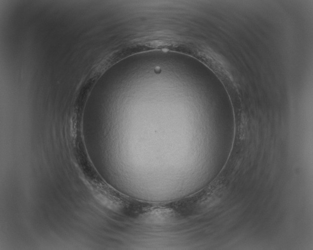 X0000084020210200702232240