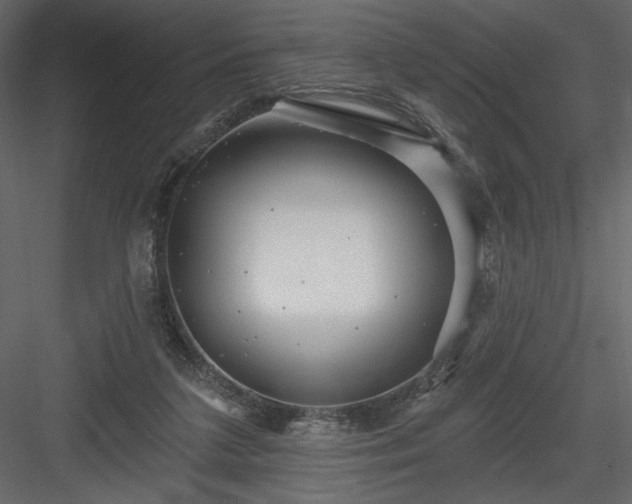 X0000084020211200702232240