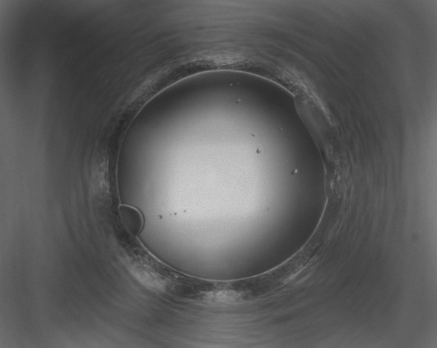 X0000084020212200702232240