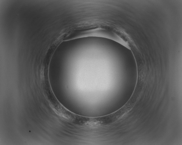 X0000084020213200702232240